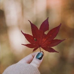 Meet your Posher, Hala